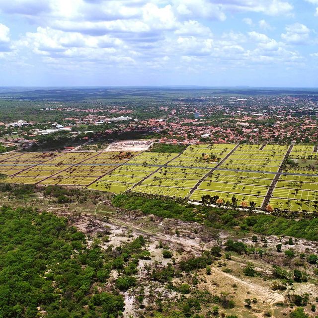 JARDIM TROPICAL